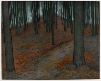 Wald mit Buchen, ca. 1899 von Piet Mondrian